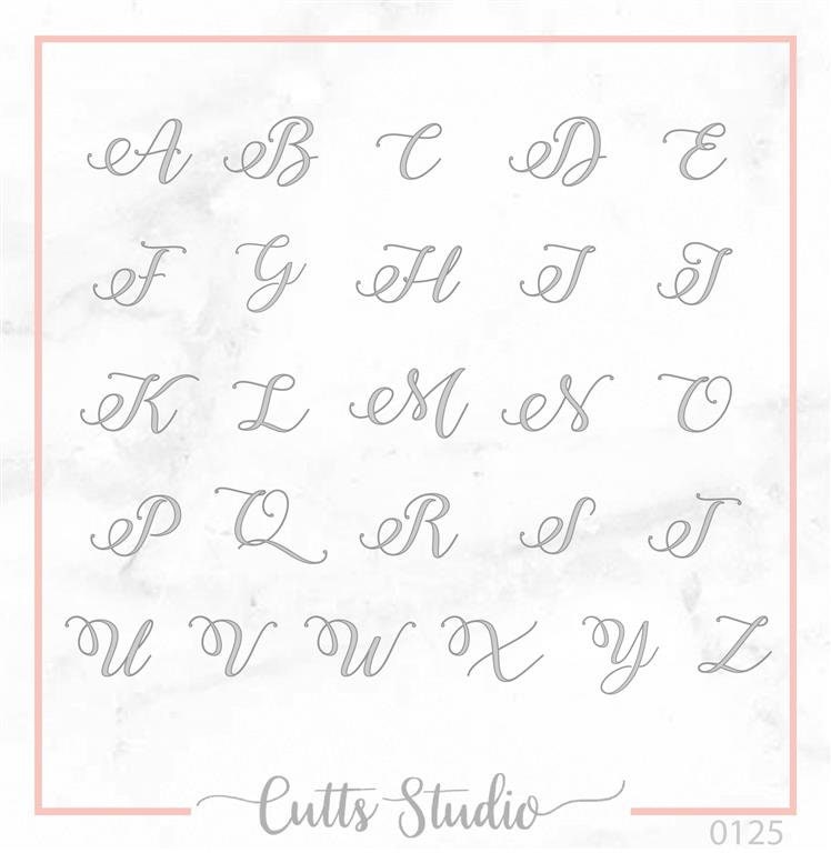 Initial Cake Topper, Letter Cake Topper, Wedding Cake Topper, Engagement Cake Topper, Bridal Shower Cake Topper, Acrylic Topper