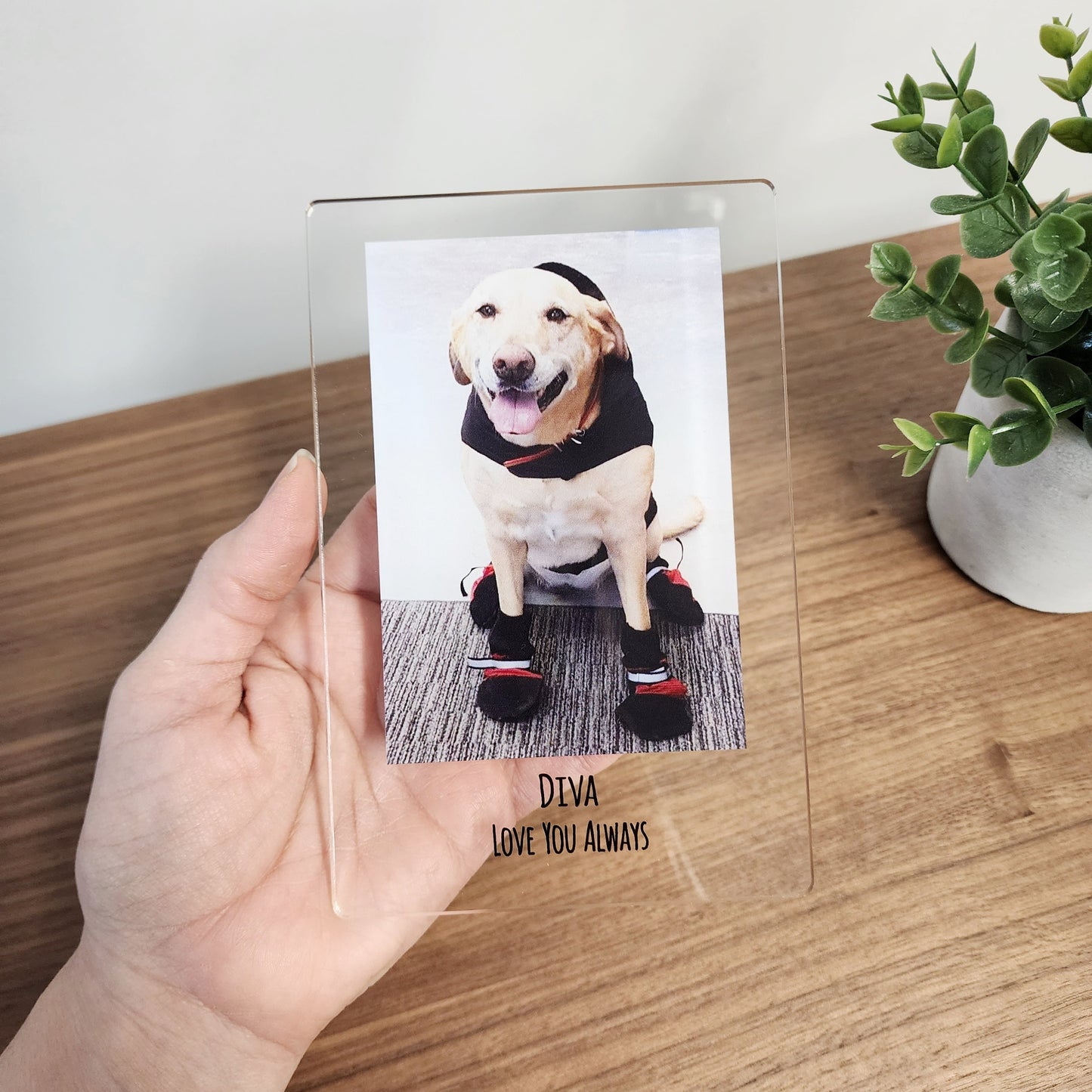 Personalized Pet Photo Acrylic Plaque – Custom Dog Memorial Gift
