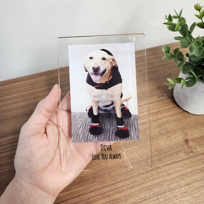 Personalized Pet Photo Acrylic Plaque – Custom Dog Memorial Gift