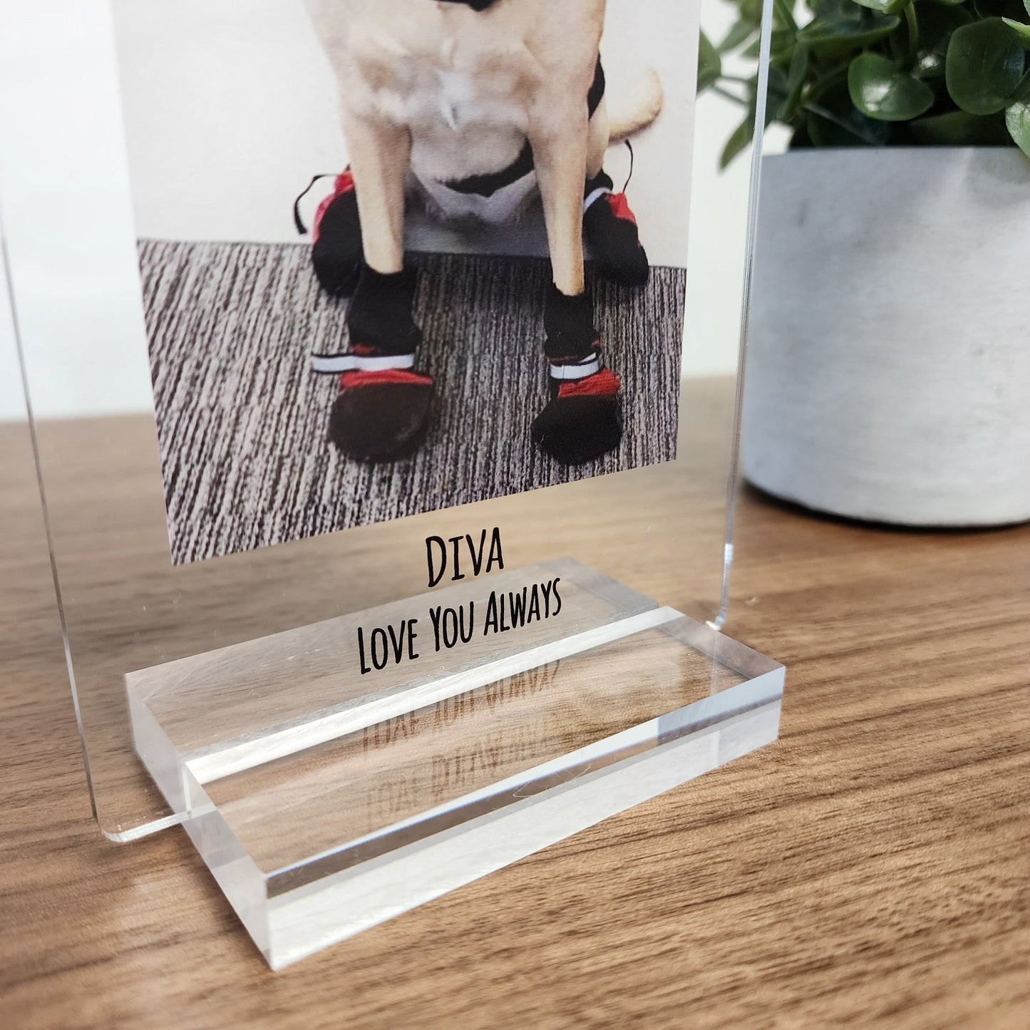 Personalized Pet Photo Acrylic Plaque – Custom Dog Memorial Gift
