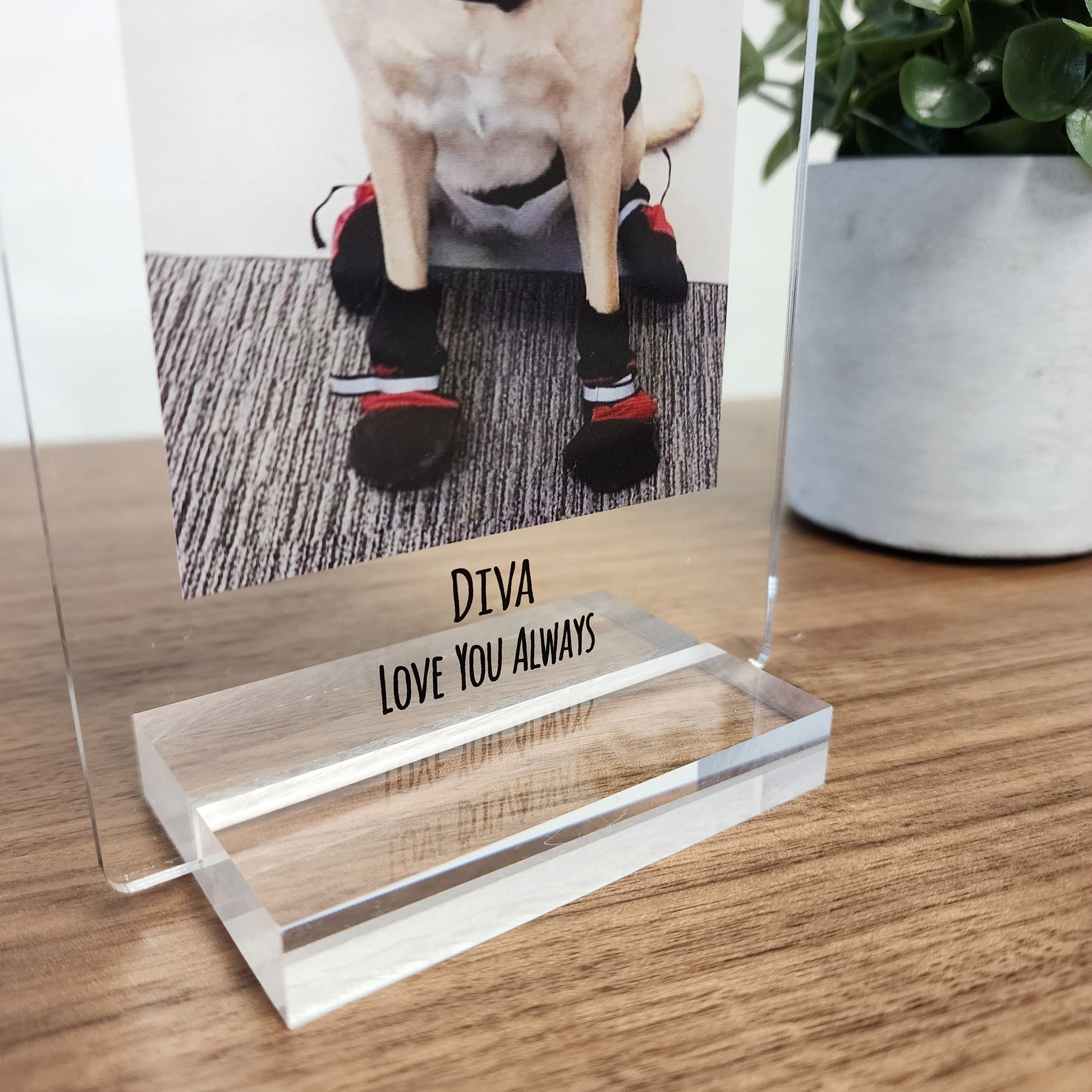 Personalized Pet Photo Acrylic Plaque – Custom Dog Memorial Gift