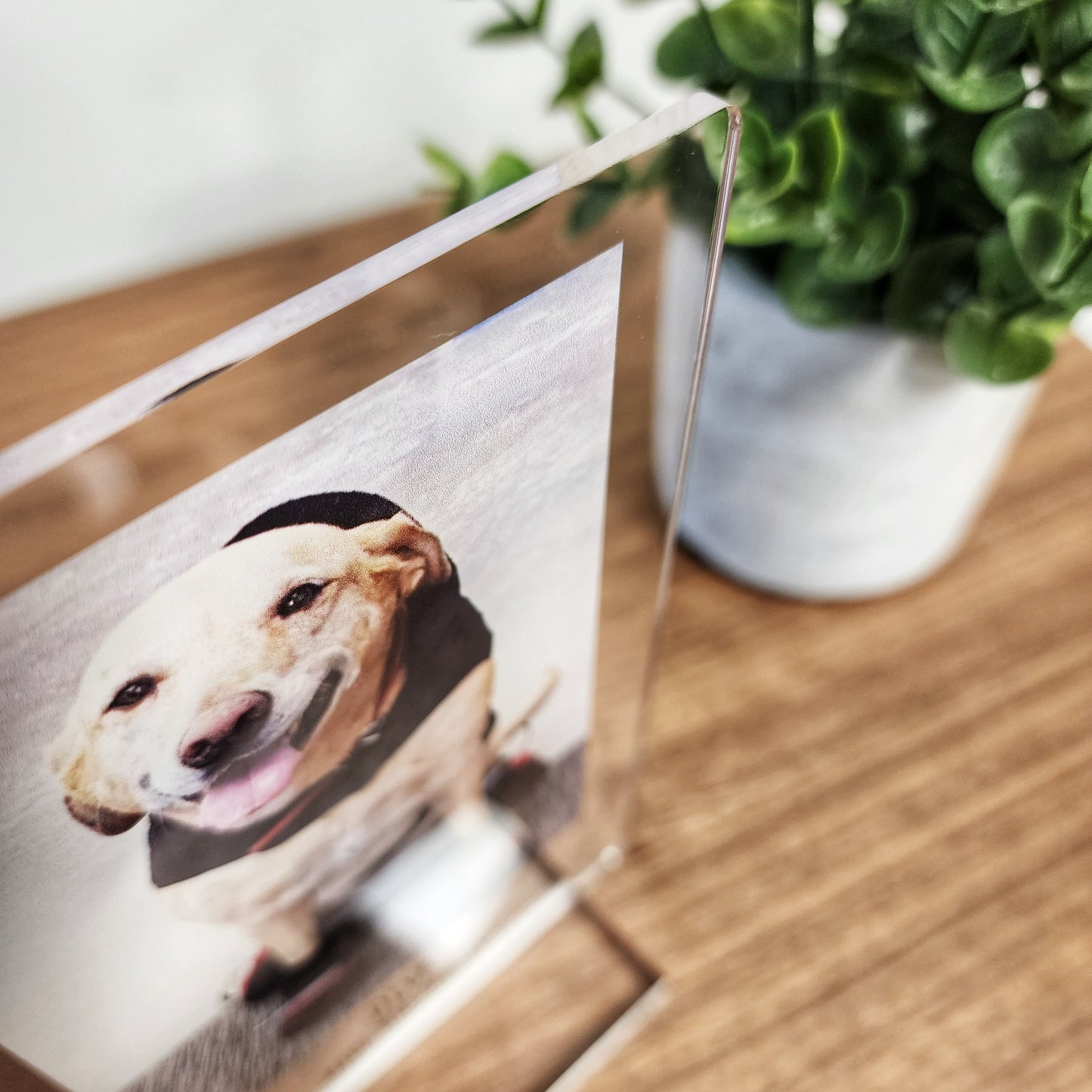 Personalized Pet Photo Acrylic Plaque – Custom Dog Memorial Gift