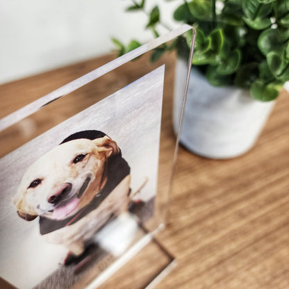 Personalized Pet Photo Acrylic Plaque – Custom Dog Memorial Gift