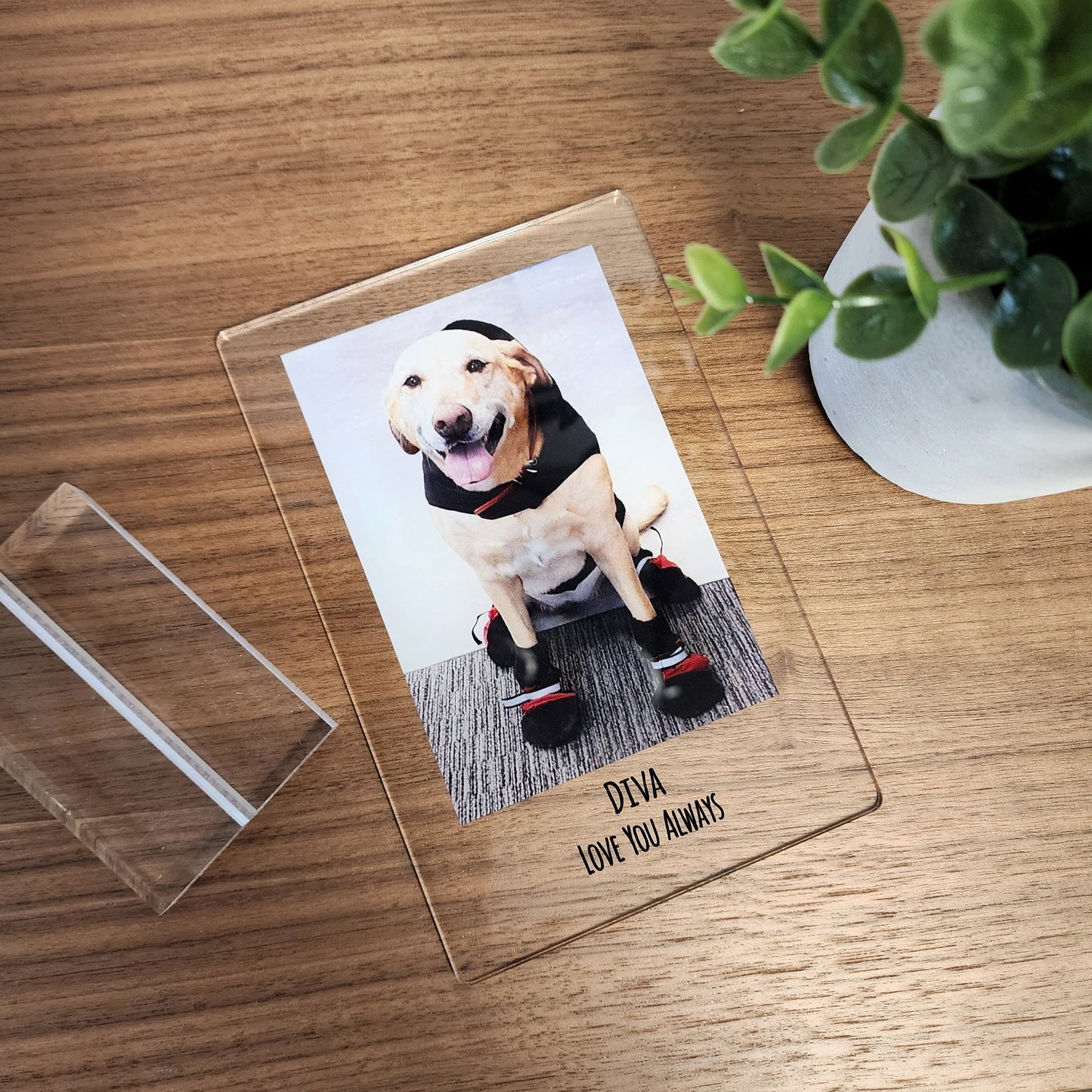 Personalized Pet Photo Acrylic Plaque – Custom Dog Memorial Gift