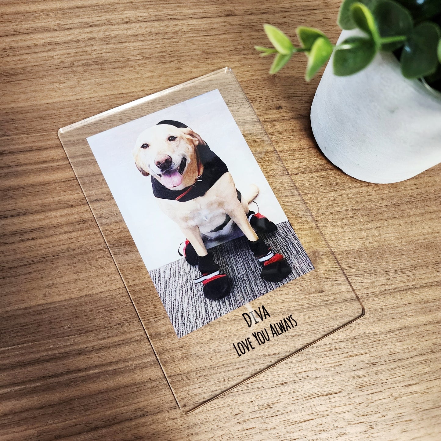 Personalized Pet Photo Acrylic Plaque – Custom Dog Memorial Gift