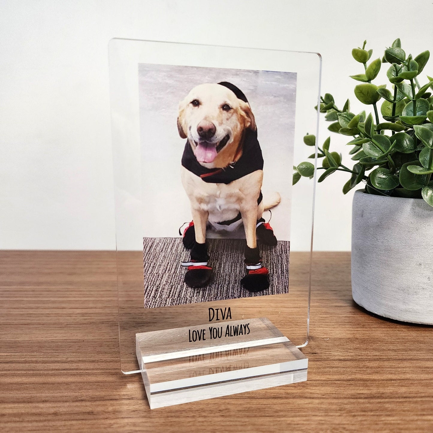 Personalized Pet Photo Acrylic Plaque – Custom Dog Memorial Gift