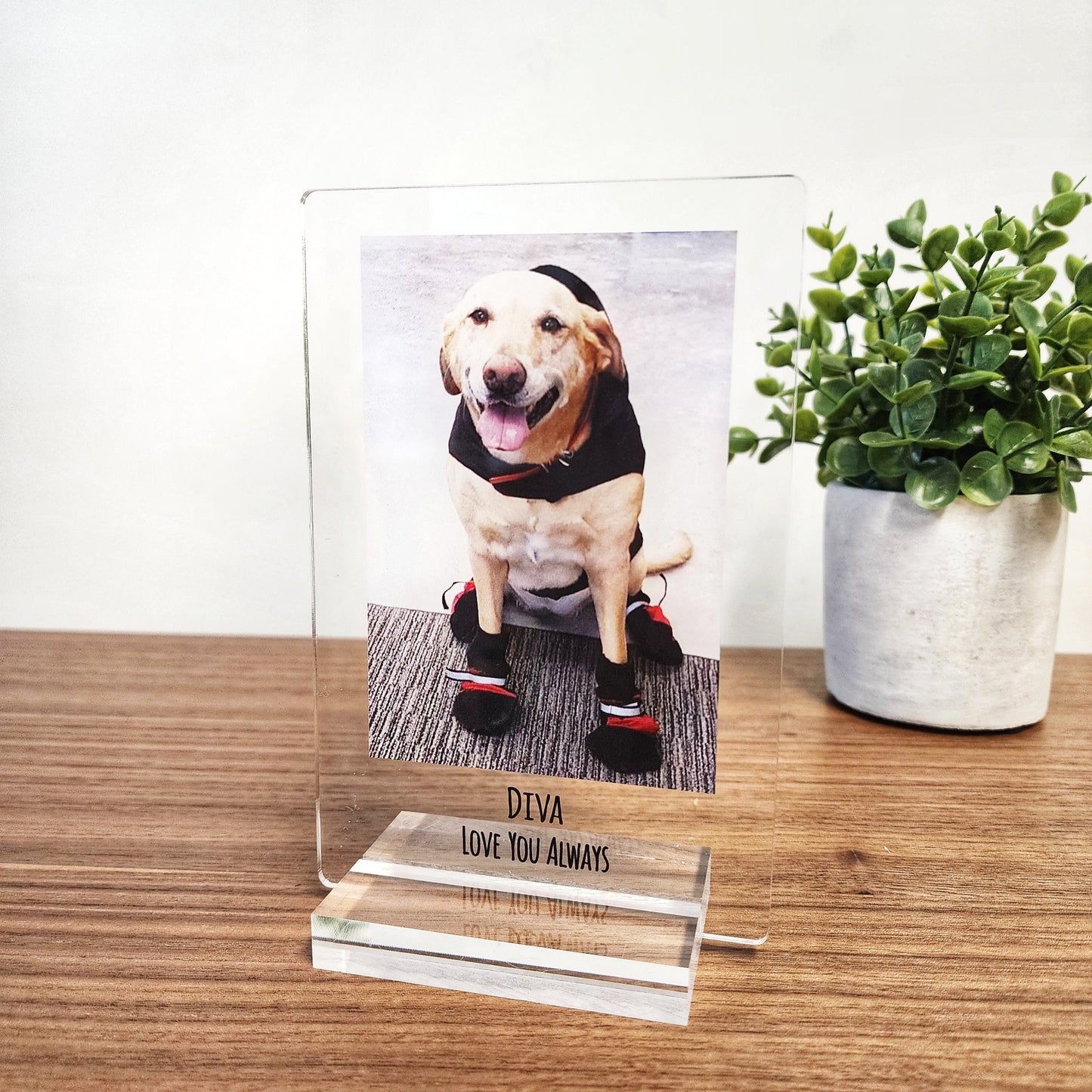 Personalized Pet Photo Acrylic Plaque – Custom Dog Memorial Gift