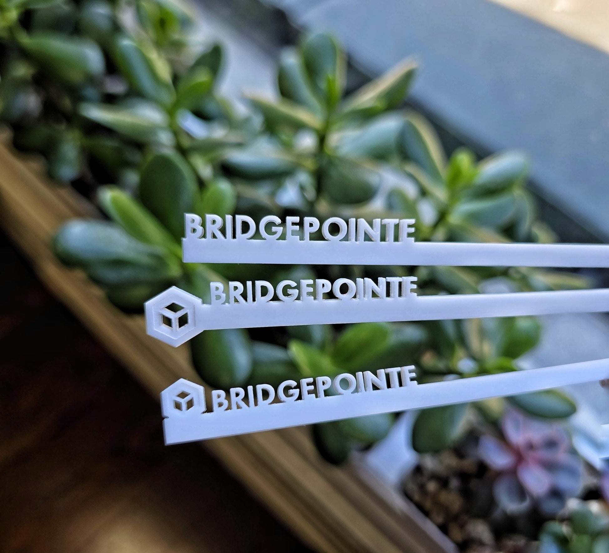 Wedding Drink Stirrers, Cocktail Custom Stirrers, Custom Last Name Cocktail Stirrers, Bridal Shower Favor, Signature Drink, Bach Party