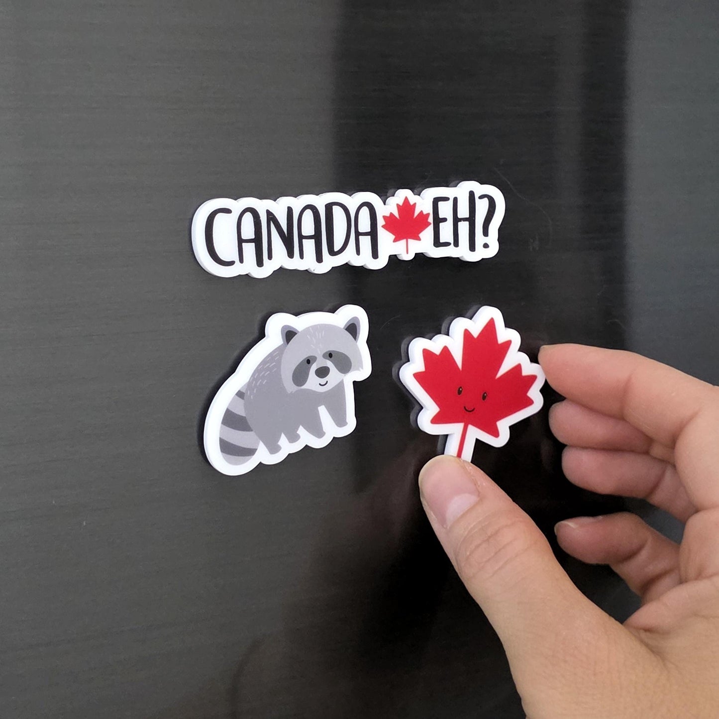 Canada Magnet Set | Cute Canadian Fridge Magnets | Maple Leaf, Bear, Raccoon, Blue Jay | Canada Eh Gift | Souvenir Magnet Set