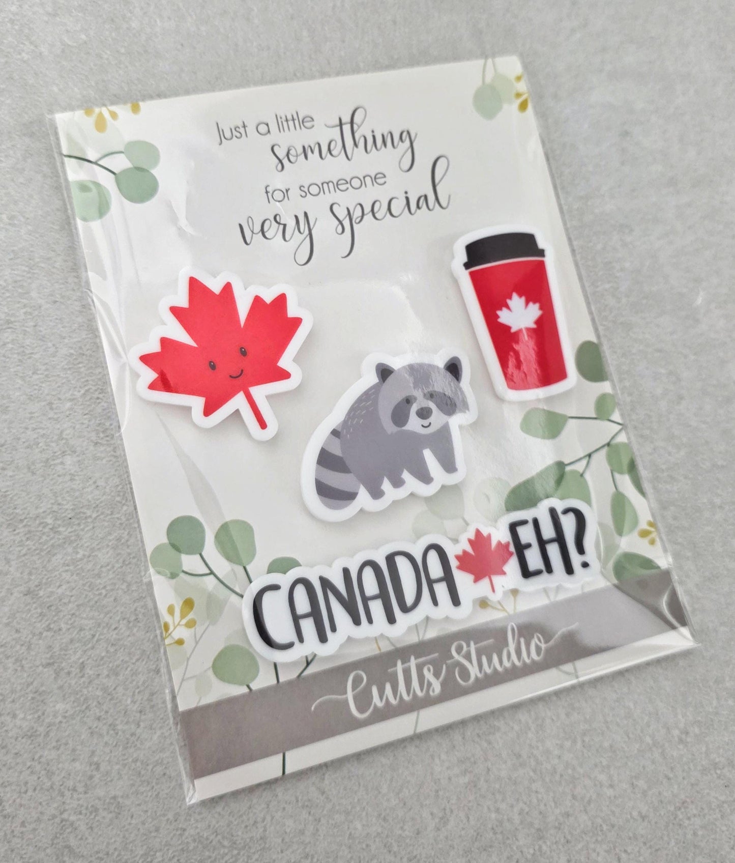Canada Magnet Set | Cute Canadian Fridge Magnets | Maple Leaf, Bear, Raccoon, Blue Jay | Canada Eh Gift | Souvenir Magnet Set