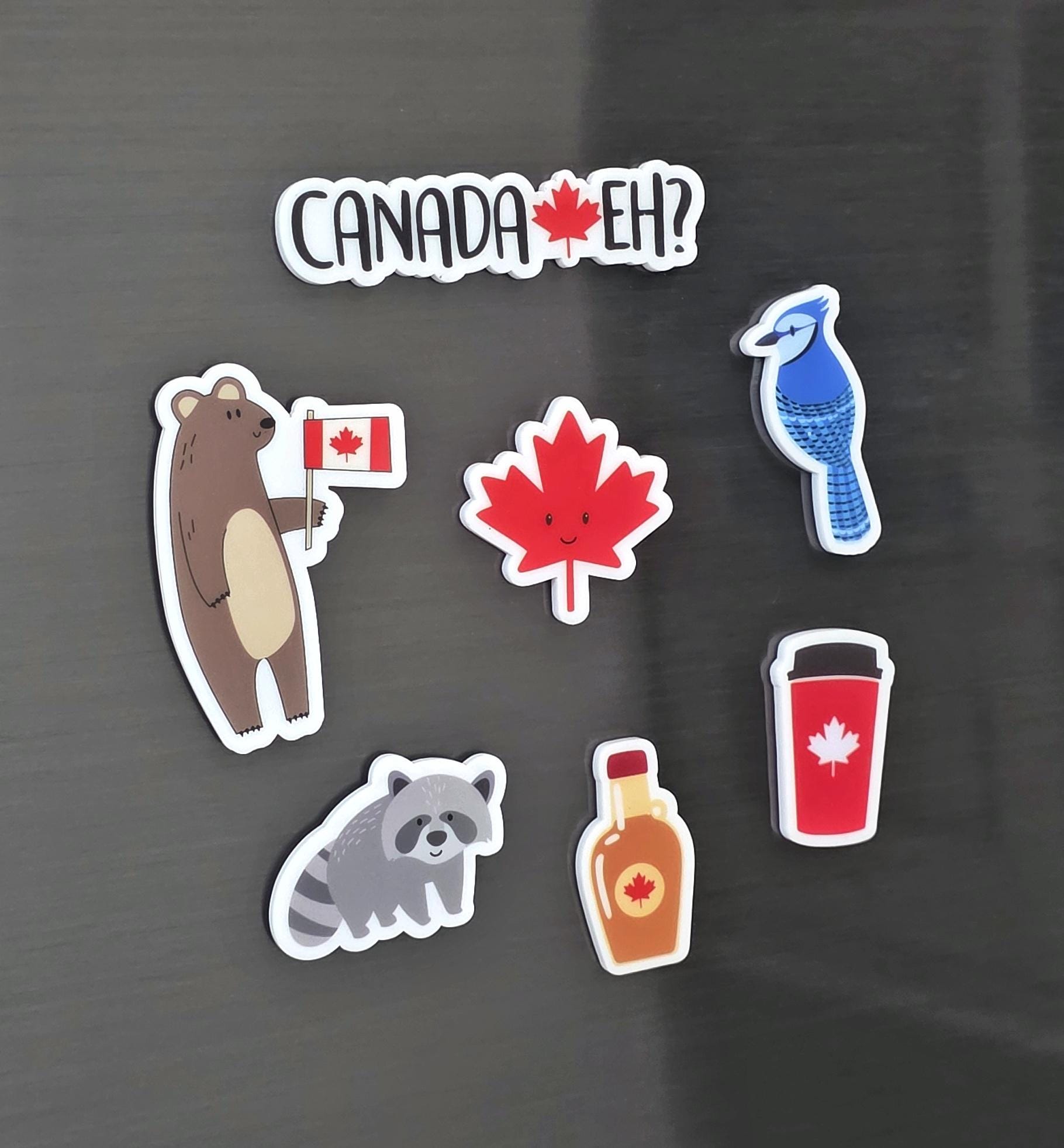 Canada Magnet Set | Cute Canadian Fridge Magnets | Maple Leaf, Bear, Raccoon, Blue Jay | Canada Eh Gift | Souvenir Magnet Set