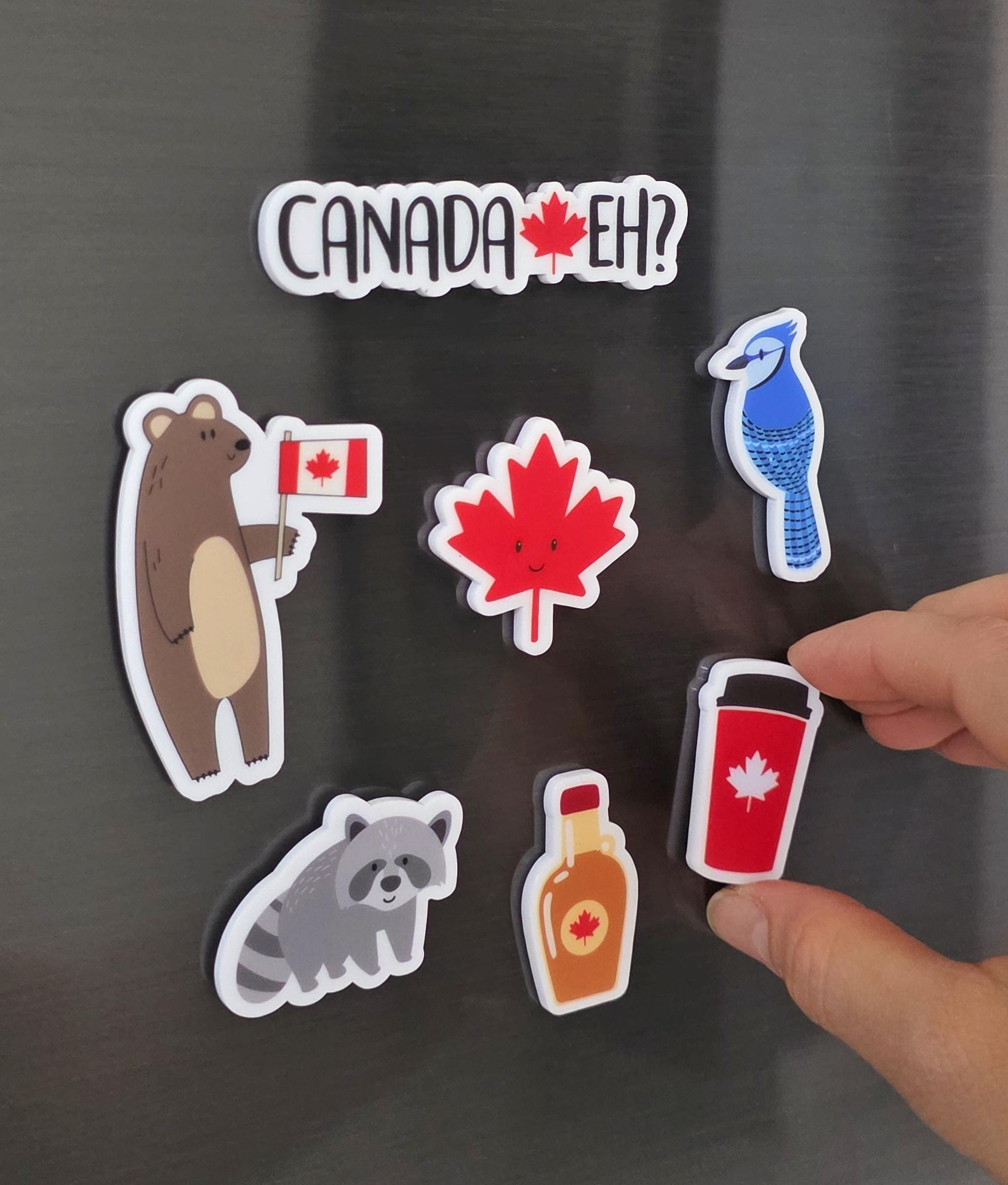 Canada Magnet Set | Cute Canadian Fridge Magnets | Maple Leaf, Bear, Raccoon, Blue Jay | Canada Eh Gift | Souvenir Magnet Set