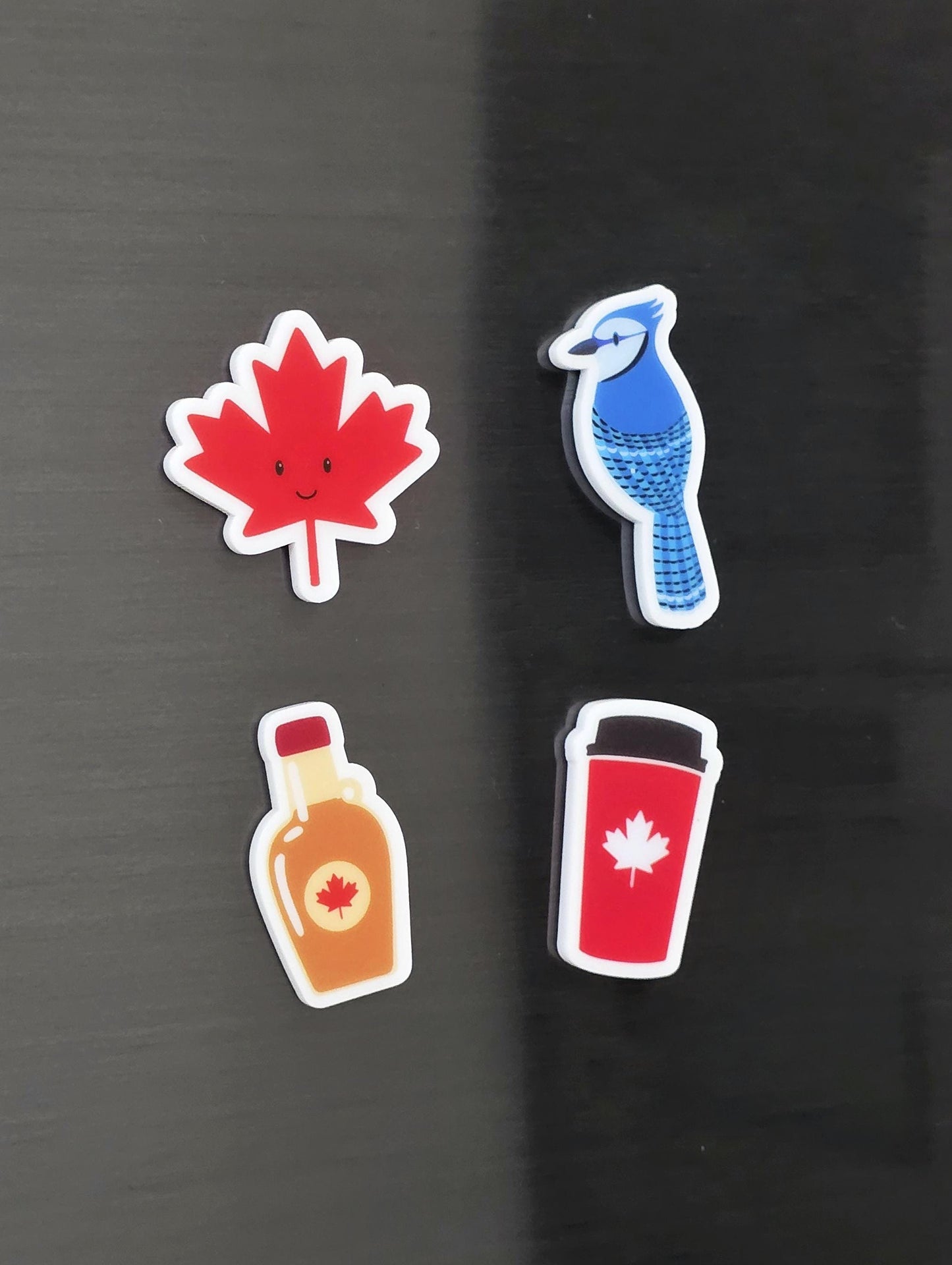 Canada Magnet Set | Cute Canadian Fridge Magnets | Maple Leaf, Bear, Raccoon, Blue Jay | Canada Eh Gift | Souvenir Magnet Set